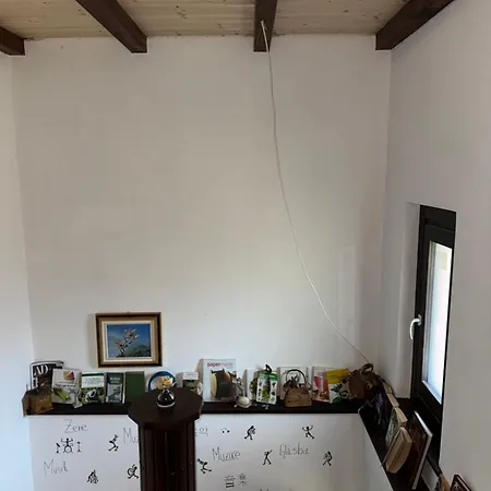 Maina Apartamento