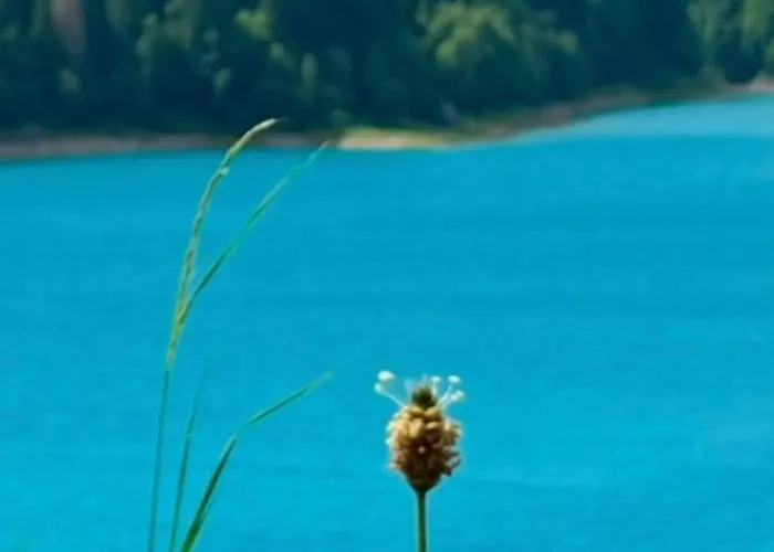 Apartment Maina Sauris